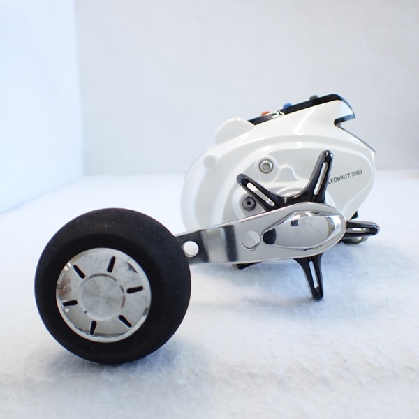 １２レオブリッツ３００Ｊ